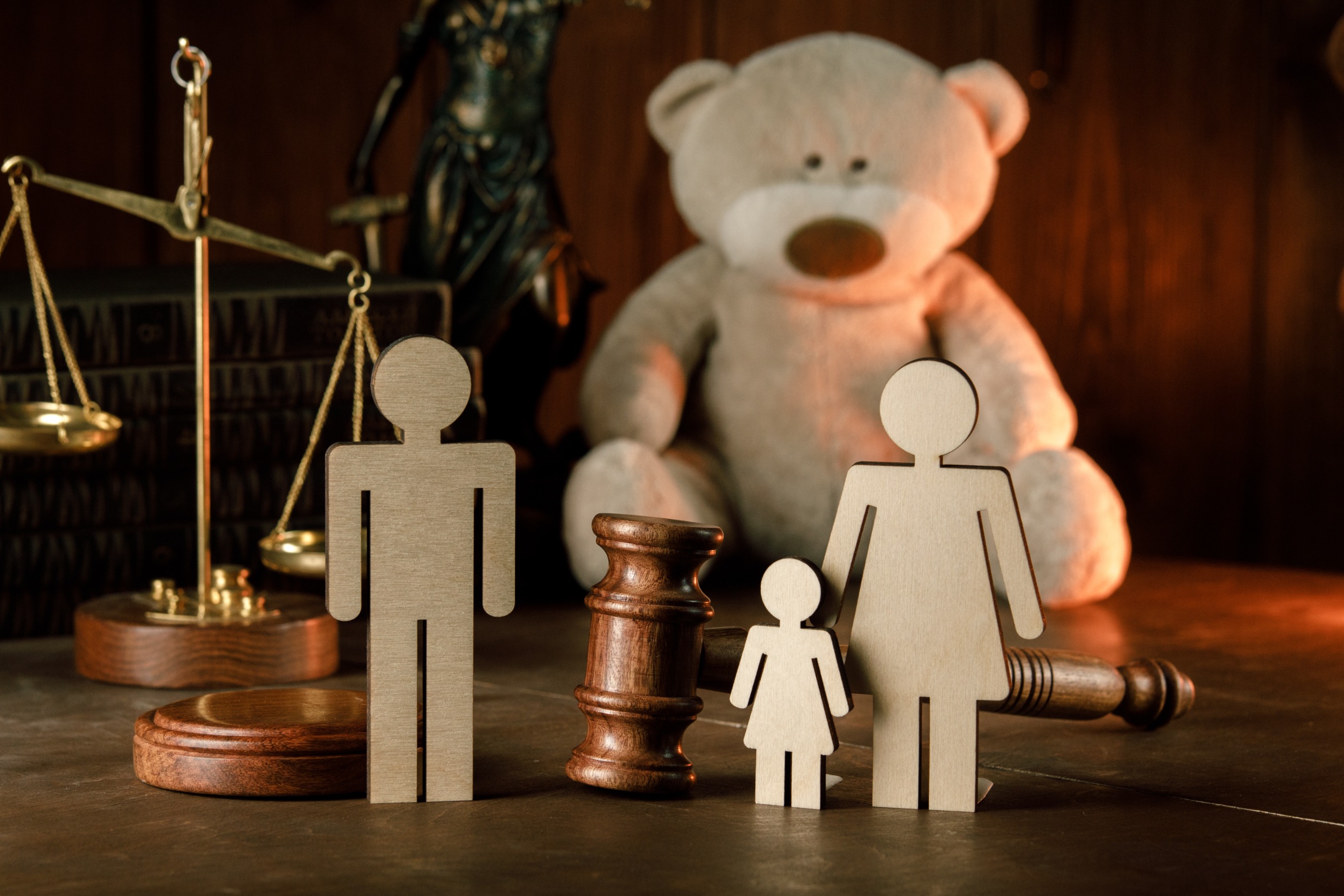 Types of Cases Addressed in Family Courts